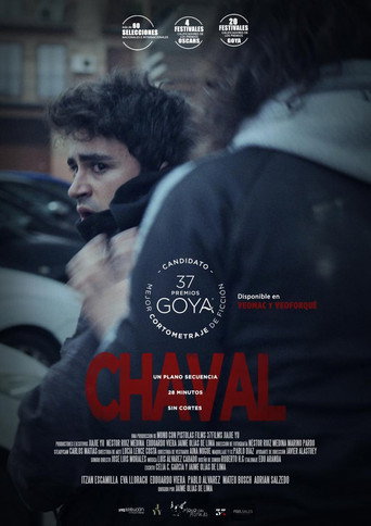 Póster de Chaval