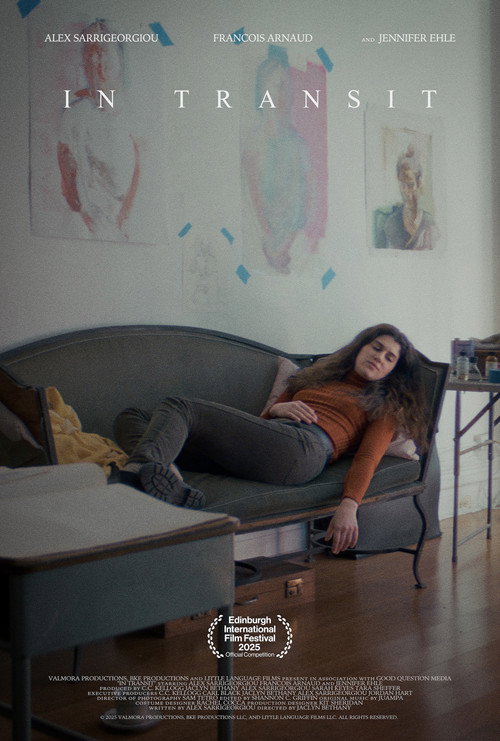 Póster de In Transit