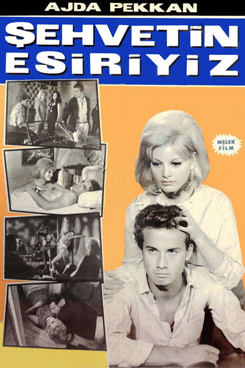 Póster de Şehvetin Esiriyiz