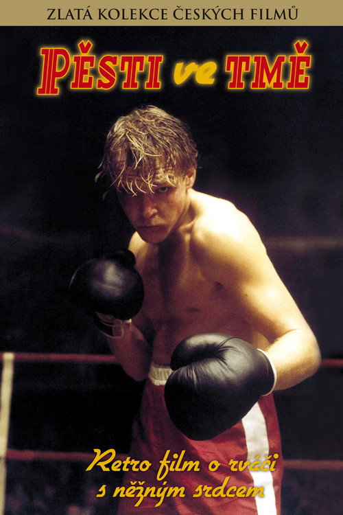 Póster de Pěsti ve tmě