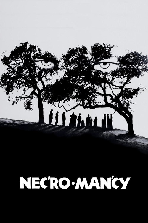 Póster de Necromancy
