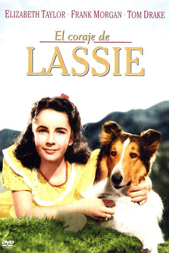 Póster de El valor de Lassie