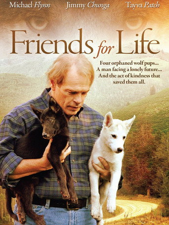 Póster de Friends for Life