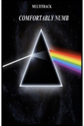 Póster de Pink Floyd - Comfortably Numb