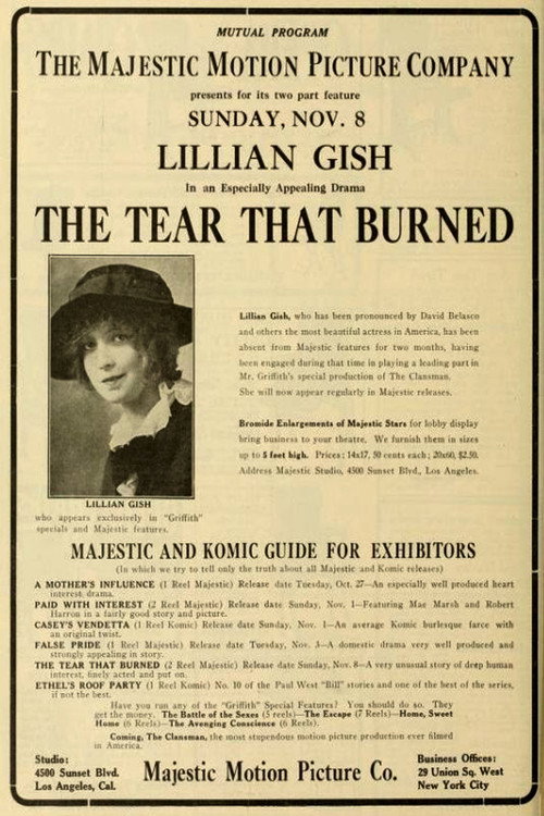 Póster de The Tear That Burned