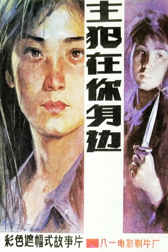 Póster de 主犯在你身边