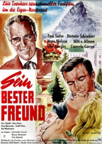 Póster de Sein bester Freund