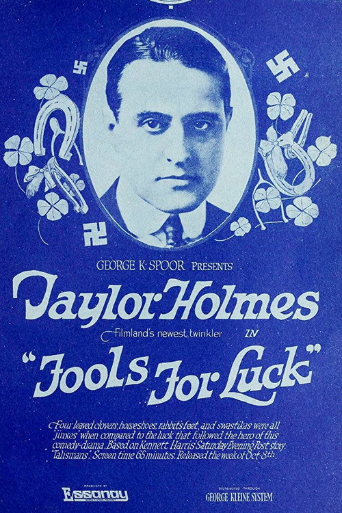 Póster de Fools For Luck