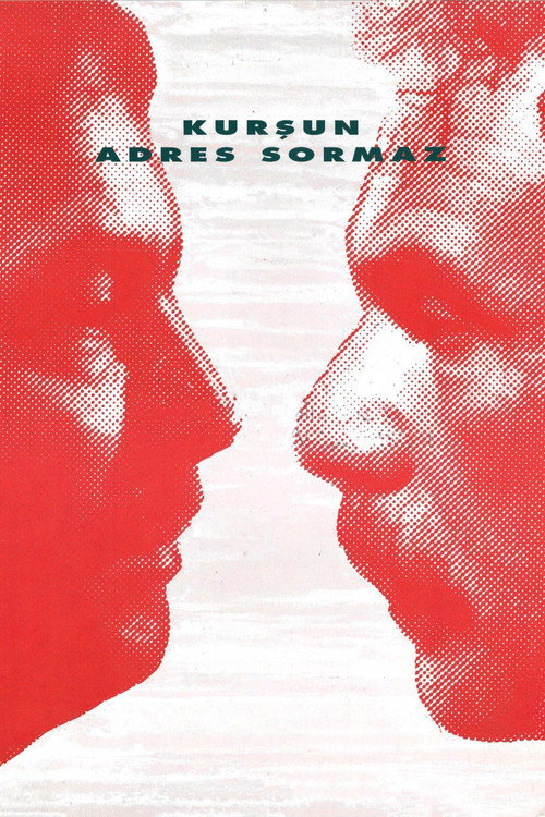 Póster de Kurşun Adres Sormaz