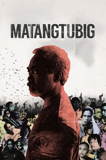 Póster de Matangtubig