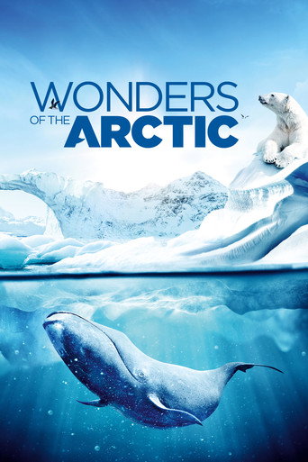 Póster de Wonders of the Arctic