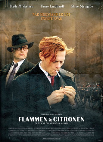 Póster de Flame y Citron