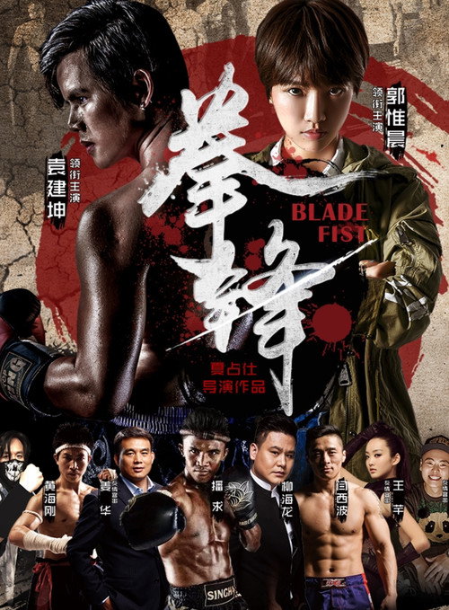 Póster de 拳锋