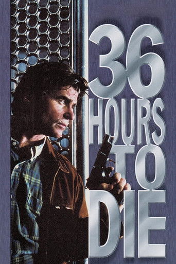 Póster de 36 Hours to Die