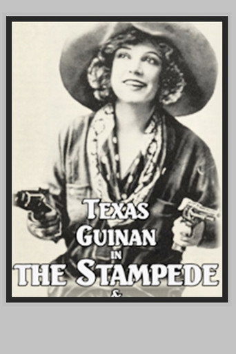 Póster de The Stampede