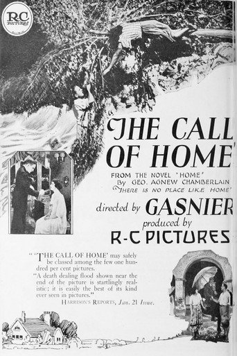 Póster de The Call of Home