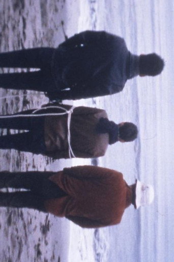 Póster de バッド デット