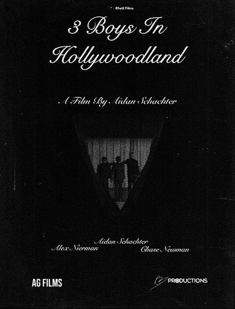 Póster de 3 Boys In Hollywoodland