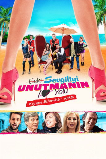 Póster de Eski Sevgiliyi Unutmanın 10 Yolu