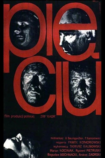 Póster de Pięciu