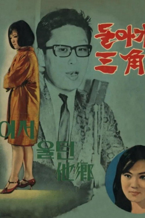Póster de 돌아가는 삼각지