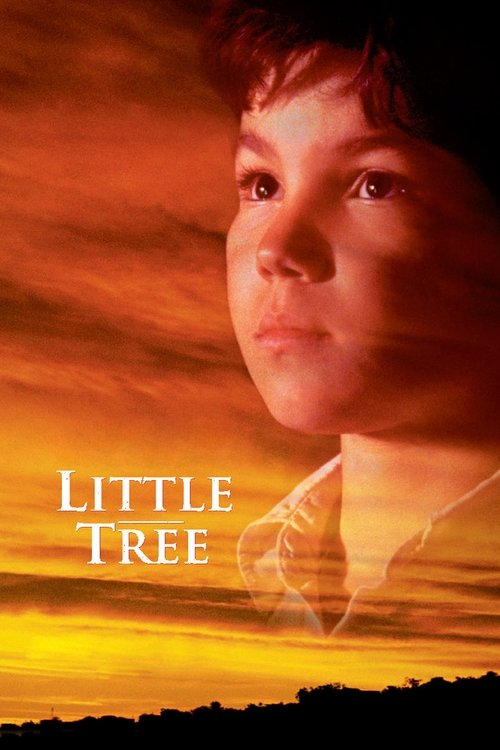 Póster de The Education of Little Tree