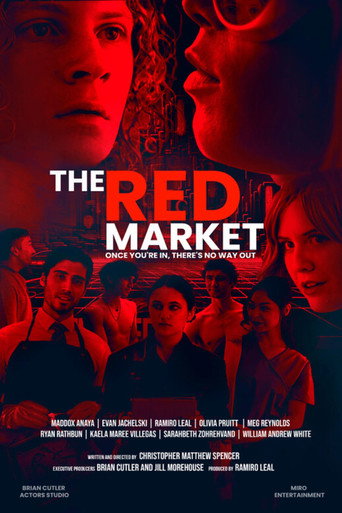 Póster de The Red Market