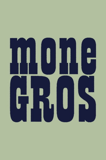 Póster de Monegros