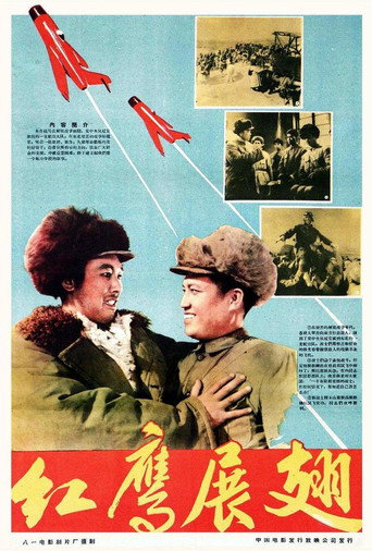 Póster de 红鹰展翅