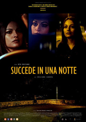 Póster de Succede in una notte