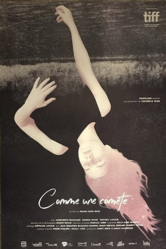 Póster de Comme une comète