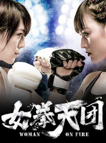 Póster de 女拳天团