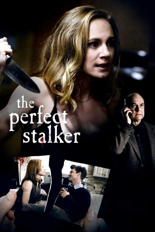 Póster de The Perfect Stalker