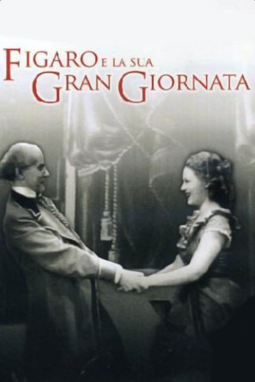 Póster de Figaro e la sua gran giornata