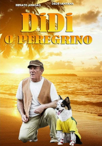 Póster de Didi, o Peregrino