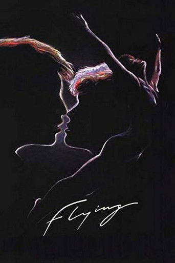 Póster de Flying