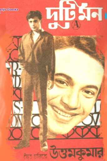 Póster de Two Souls