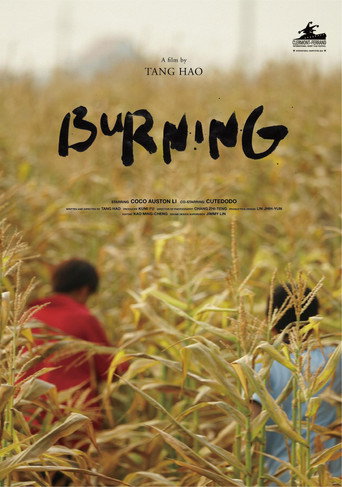 Póster de Burning