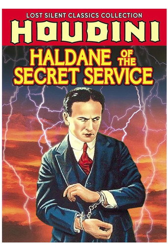Póster de Haldane of the Secret Service