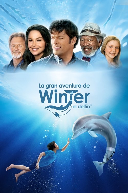 Póster de Winter - El delfín