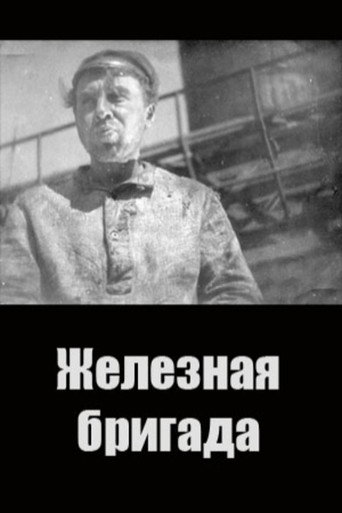 Póster de Железная бригада