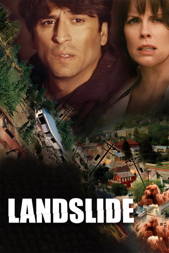 Póster de Landslide