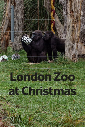 Póster de London Zoo at Christmas