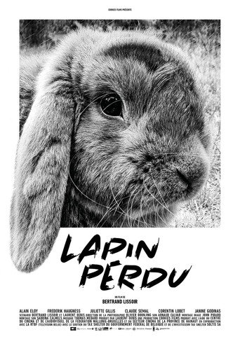 Póster de Lapin perdu