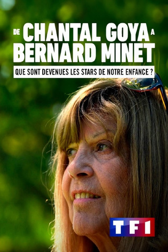Póster de De Chantal Goya à Bernard Minet : Que sont devenues les stars de notre enfance ?