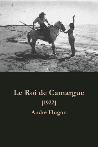 Póster de Le roi de Camargue