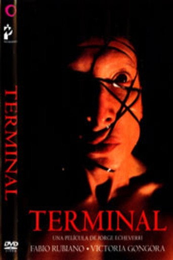 Póster de Terminal