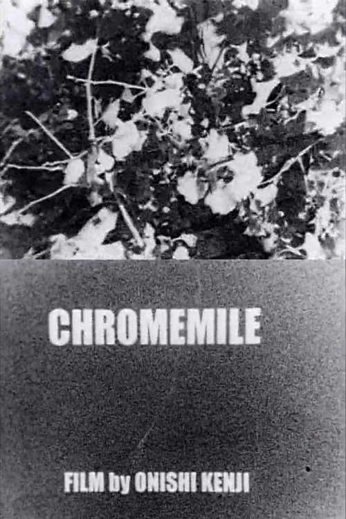 Póster de Chromemile
