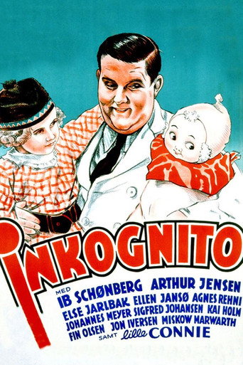 Póster de Inkognito