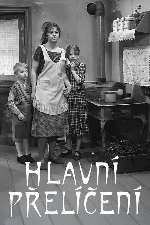 Póster de Hlavní přelíčení
